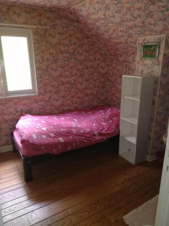 Propriete Bordee D'Etangs, Propice A La Detente Florenville Exteriör bild
